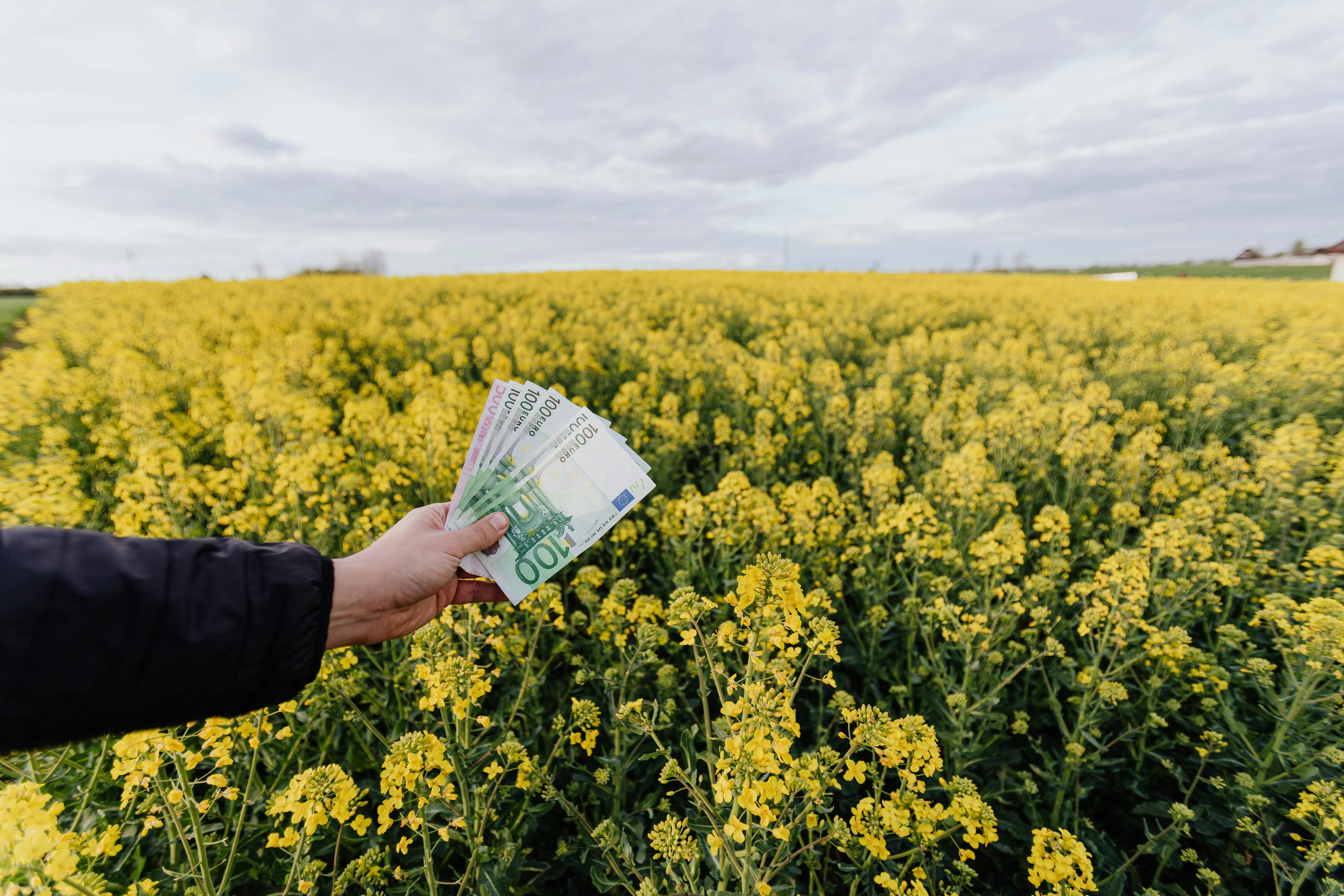 how does financing a home work