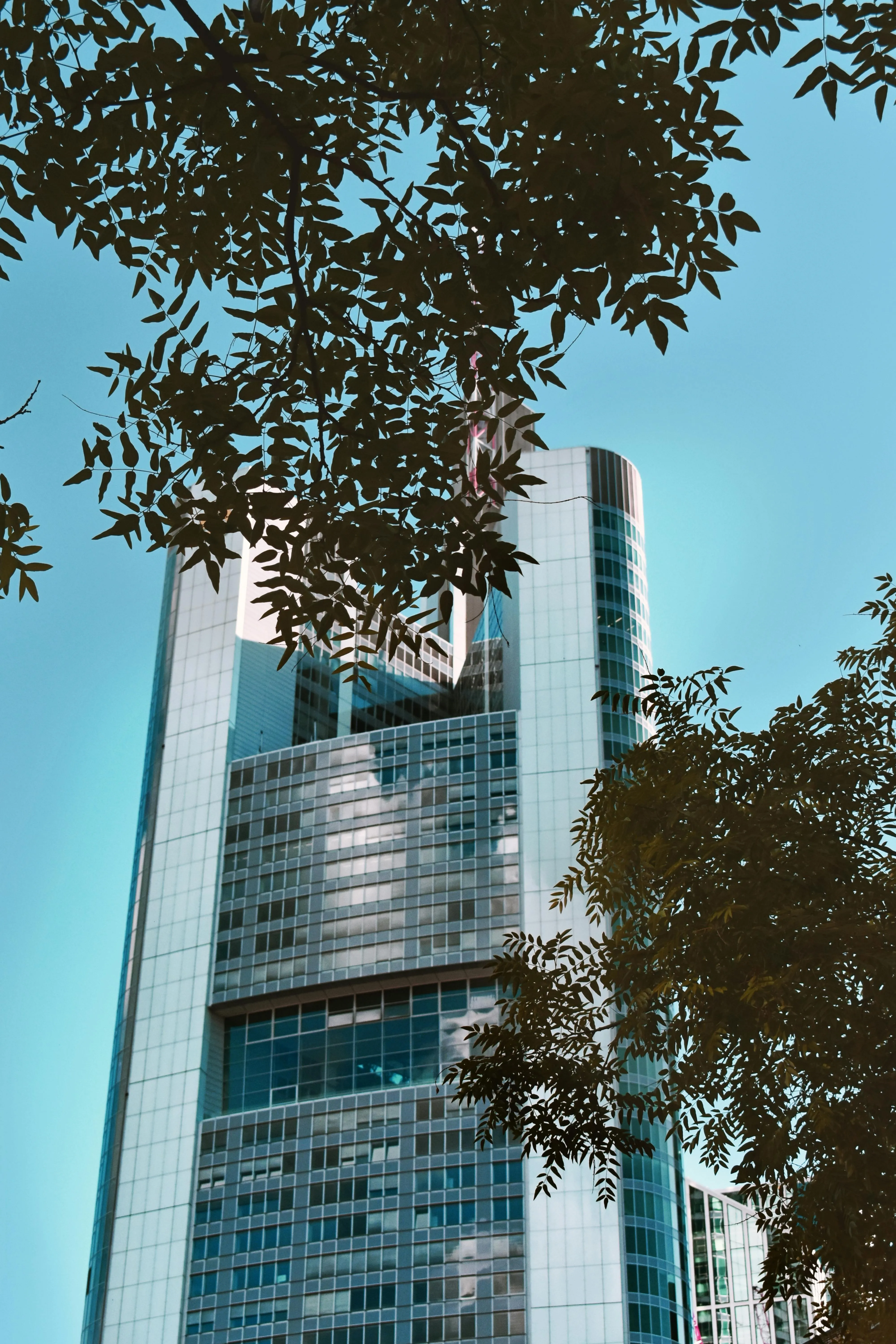 can you buy bonds on m1 finance